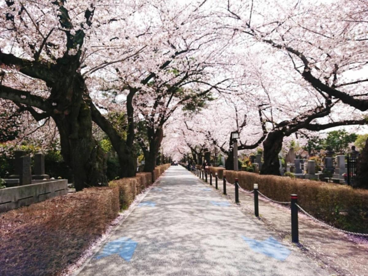 Henn Na Akasaka 3* Prefektura Tokio